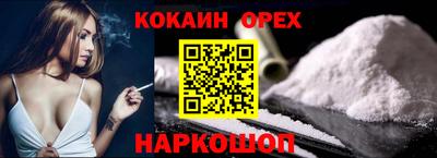 крисы Пенза