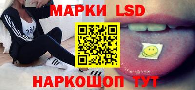 крисы Пенза
