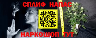 трава Партизанск