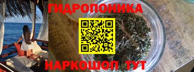 крисы Пенза