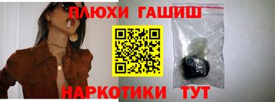 крисы Пенза